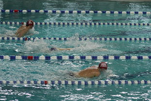 开云体育入口-“世界游泳锦标赛：2025新加坡赛场泳池掀起速度与优雅的碰撞”