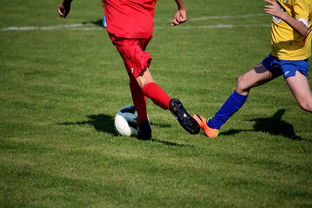 开云体育-国际足球俱乐部青训论坛在广州召开，国际足联青训补偿标准